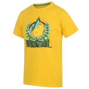 [Order] 14-15 Brasil (CBF) Core Plus T-Shirt - Yellow