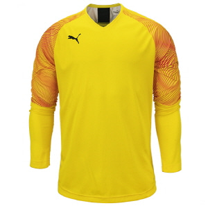 CUP GK Jersey L/S (70377145)